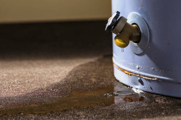 Best Water damage cleanup near me  in Drumright, OK