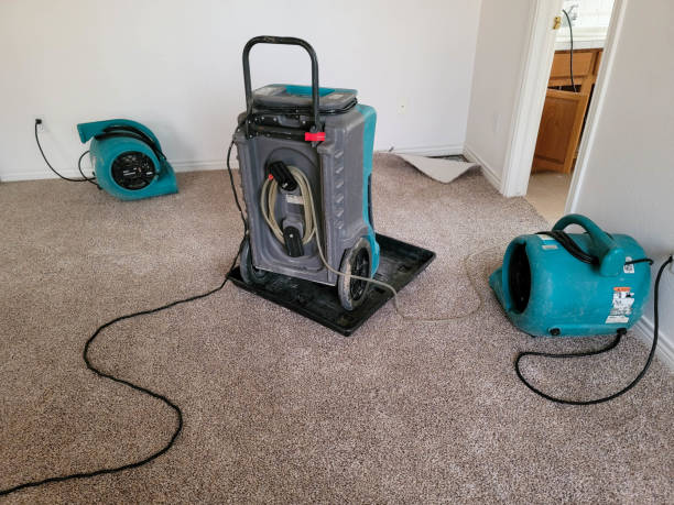 Best 24/7 water damage repair  in Drumright, OK