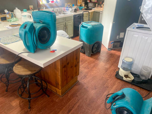 Best Flooded house restoration  in Drumright, OK