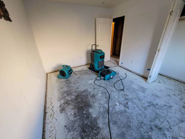 Best 24-hour water damage restoration  in Drumright, OK