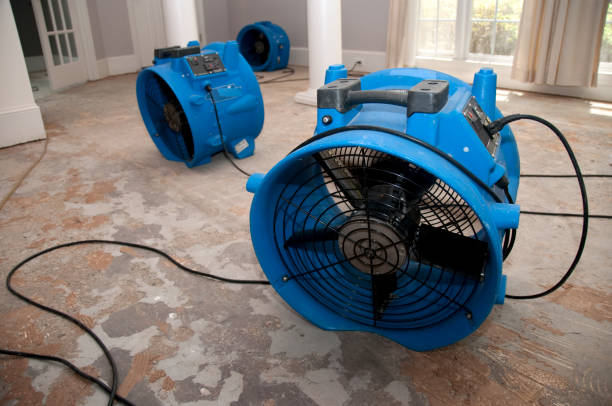 Best Local water damage restoration  in Drumright, OK