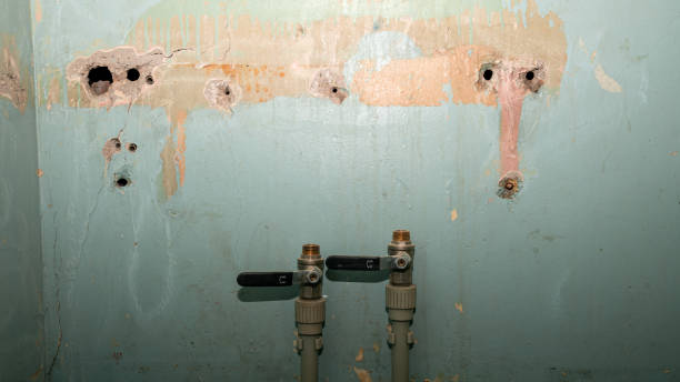 Best Carpet water damage restoration  in Drumright, OK