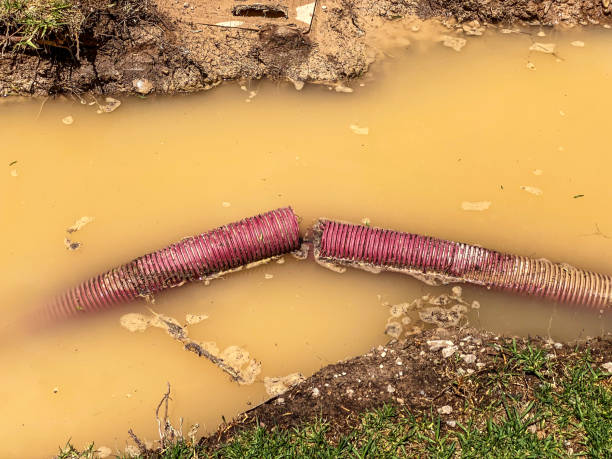 Best Water damage contractors near me  in Drumright, OK